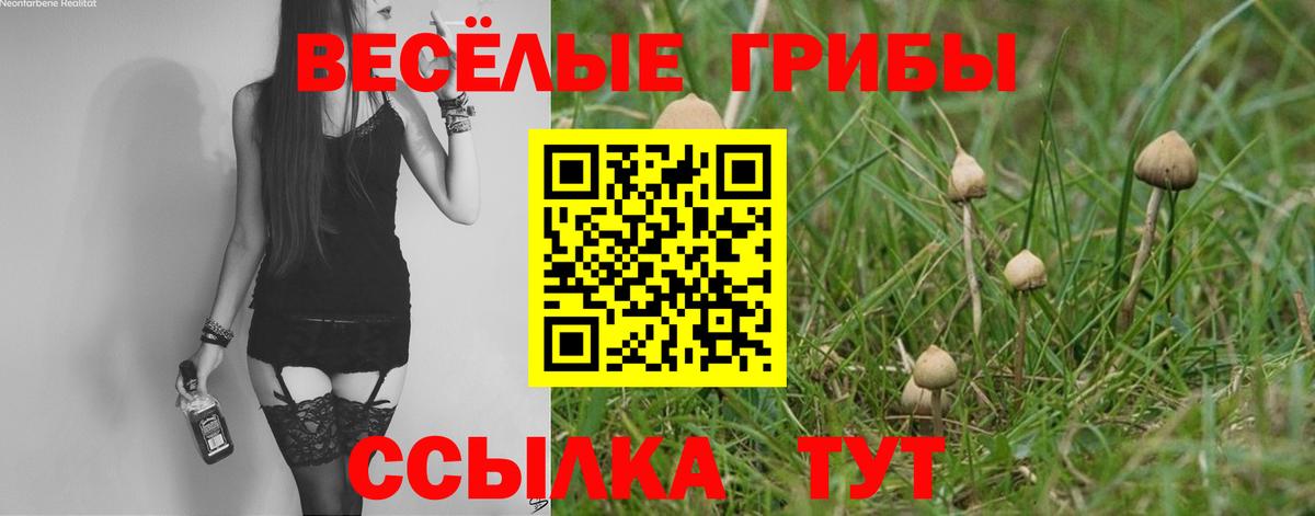 Псилоцибиновые грибы Psilocybe  Вход с VPN  цены   Киров 