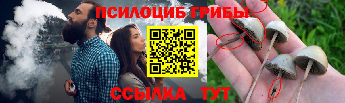Псилоцибиновые грибы ЛСД Киров